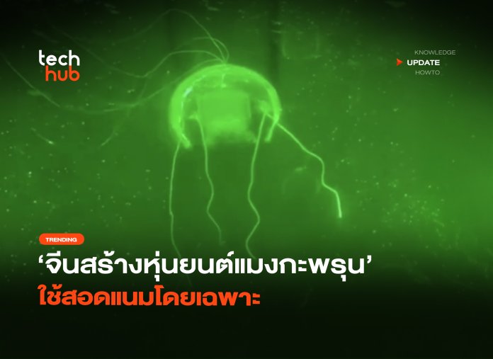 ผีใต้น้ำ จีนสร้างหุ่นยนต์แมงกะพรุน ใช้สอดแนมโดยเฉพาะ-04 หุ่นยนต์แมงกะพรุน