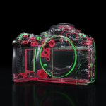 รูป_EOS R6 Mark III_11