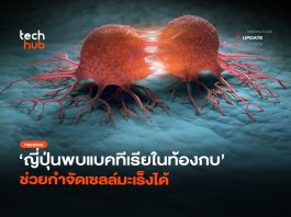 แบคทีเรียในท้องกบ