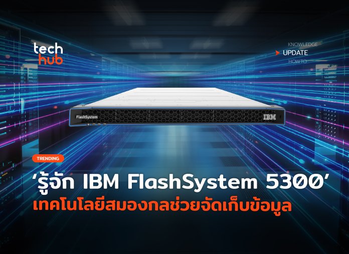 IBM FlashSystem 5300