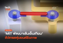 ทรงพลังขึ้น 30 เท่า MIT พัฒนา เส้นเอ็นเทียม อัปเกรดหุ่นยนต์ชีวภาพ เส้นเอ็นเทียม