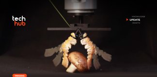 หุ่นยนต์ชีวภาพ