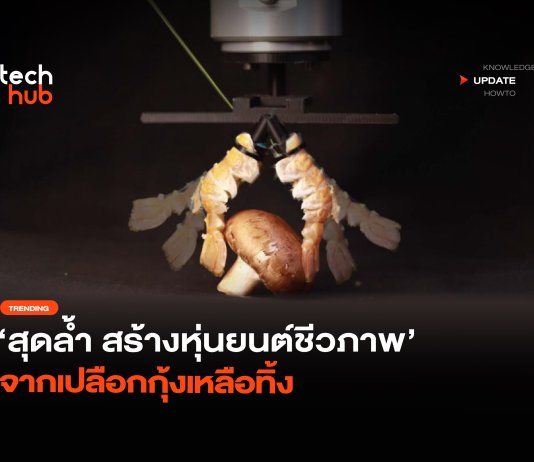 หุ่นยนต์ชีวภาพ