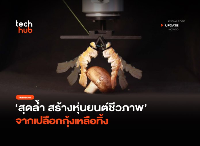 หุ่นยนต์ชีวภาพ