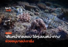 เดินหน้าทดสอบ ใช้หุ่นยนต์นำทาง ช่วยอนุบาลปะการัง
