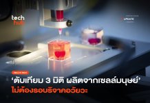 ตับเทียม 3 มิติ