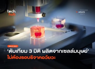 ตับเทียม 3 มิติ