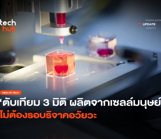 ตับเทียม 3 มิติ ผลิตจากเซลล์มนุษย์ ไม่ต้องรอบริจาคอวัยวะ ตับเทียม 3 มิติ