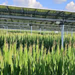 ตัวอย่างการใช้โซล่าร์ในฟาร์มเกษตร_0