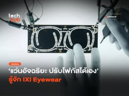 IXI Eyewear