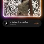 Screenshot_2026-02-03-16-54-49-85_99c04817c0de5652397fc8b56c3b3817