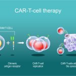 shutterstock_2455202575 [Converted]_0