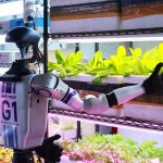 04.Humanoid Robot เยือน AssetWise
