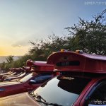 IMG_20260317_174956724