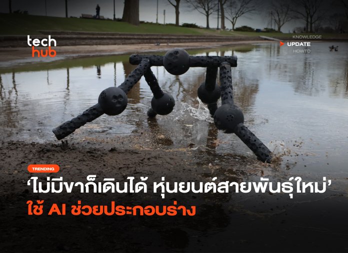 หุ่นยนต์สายพันธุ์ใหม่