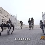 videoframe_236952 (1)