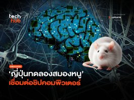 คุยกับเครื่องจักร ญี่ปุ่นทดลองสมองหนู เชื่อมต่อชิปคอมพิวเตอร์
