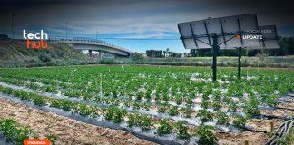 ปลูกพืชใต้แผงโซลาร์