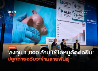 ลงทุน 1,000 ล้าน ใช้ไตหมูตัดต่อยีน ปลูกถ่ายอวัยวะข้ามสายพันธุ์