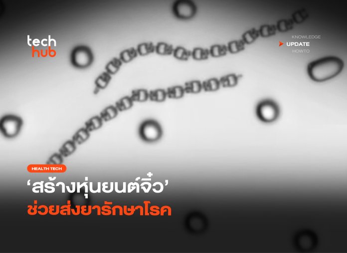 ล้ำไปอีกขั้น สร้างหุ่นยนต์จิ๋ว ช่วยส่งยารักษาโร-28 หุ่นยนต์จิ๋ว