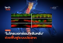 ไมโครบอทซ่อมไขสันหลัง