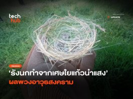 รังนกแบบใหม่ ทำจากเศษใยแก้วนำแสง ผลพวงอาวุธสงคราม