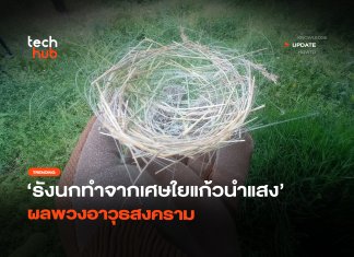 รังนกแบบใหม่ ทำจากเศษใยแก้วนำแสง ผลพวงอาวุธสงคราม