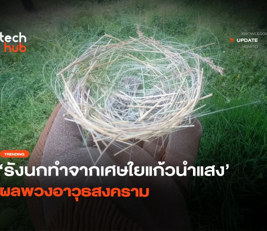รังนกแบบใหม่ ทำจากเศษใยแก้วนำแสง ผลพวงอาวุธสงคราม