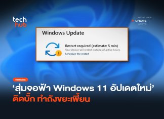 อัปเดต Windows 11