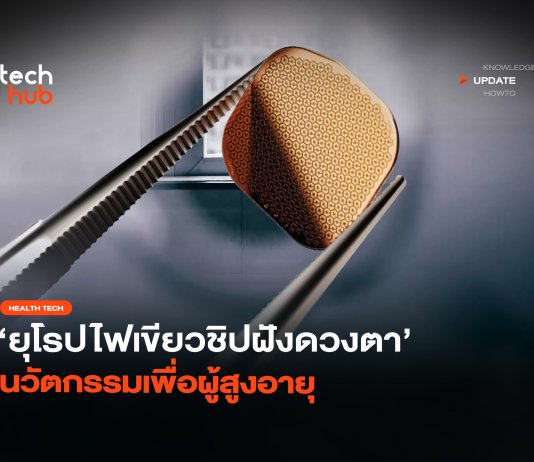 คืนการมองเห็น ยุโรปไฟเขียว ชิปฝังดวงตา นวัตกรรมเพื่อผู้สูงอายุ ชิปฝังดวงตา