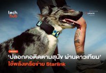 ดาวเทียมช่วยส่อง ปลอกคอติดตามสุนัข ใช้พลังเครือข่าย Starlink