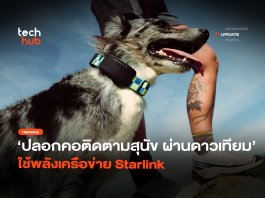 ดาวเทียมช่วยส่อง ปลอกคอติดตามสุนัข ใช้พลังเครือข่าย Starlink