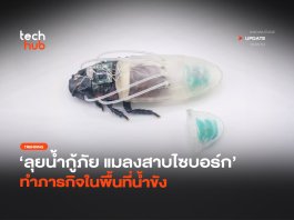 ลุยน้ำกู้ภัย แมลงสาบไซบอร์ก ทำภารกิจในพื้นที่น้ำขัง แมลงสาบไซบอร์ก