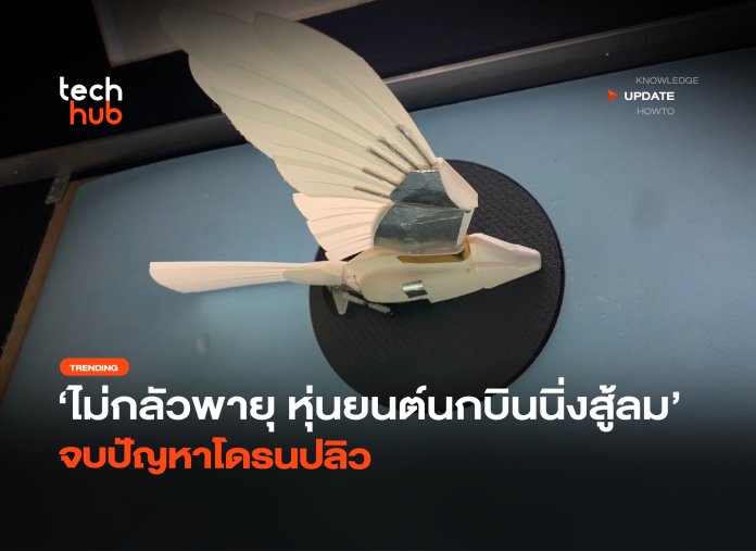 ไม่กลัวพายุ หุ่นยนต์นกบินนิ่งสู้ลม จบปัญหาโดรนปลิว-24 หุ่นยนต์นก