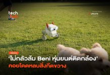 ไม่กลัวล้ม หุ่นยนต์ Beni สายลุย ติดกล้อง คอยโดดหลบสิ่งกีดขวาง หุ่นยนต์ Beni