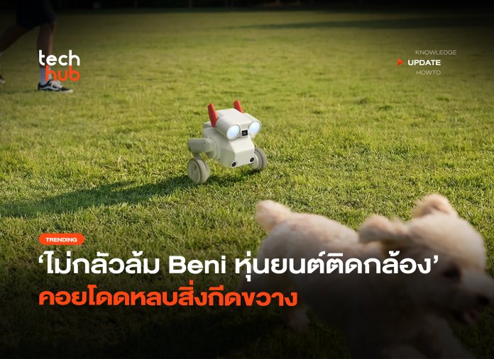 ไม่กลัวล้ม Beni หุ่นยนต์ติดกล้อง คอยโดดหลบสิ่งกีดขวาง-02 หุ่นยนต์ Beni