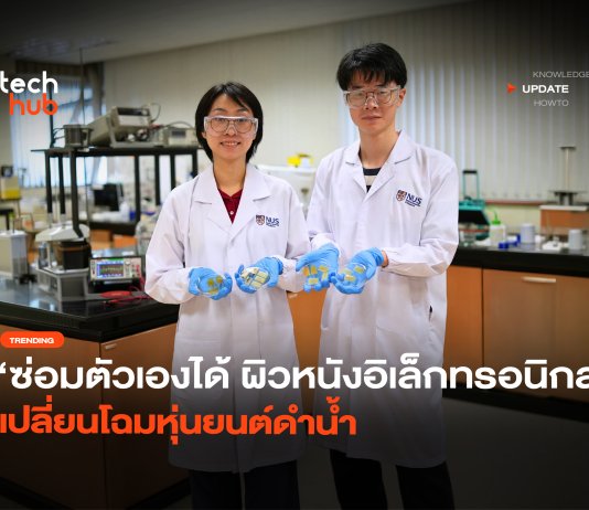 ผิวหนังอิเล็กทรอนิกส์