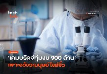 บอกลาหนูทดลอง เคมบริดจ์ทุ่มงบ 900 ล้าน เพาะ อวัยวะมนุษย์ไซส์จิ๋ว อวัยวะมนุษย์ไซส์จิ๋ว