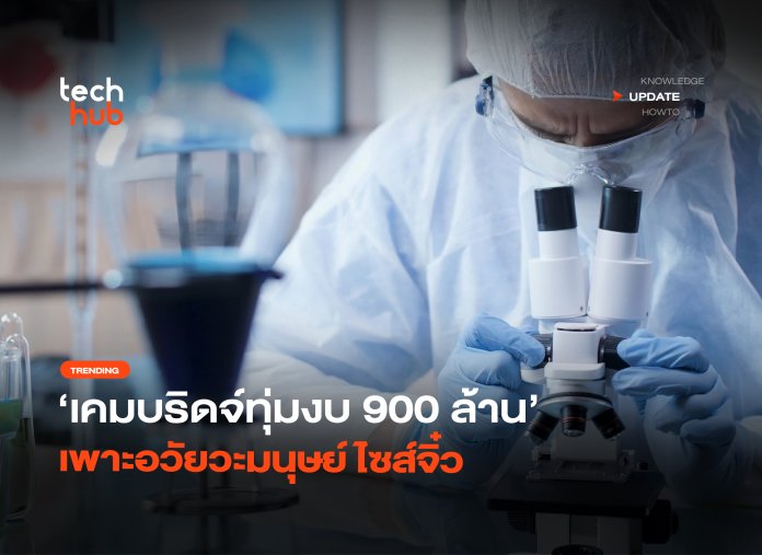 บอกลาหนูทดลอง เคมบริดจ์ทุ่มงบ 900 ล้าน เพาะอวัยวะมนุษย์ไซส์จิ๋ว-34 อวัยวะมนุษย์ไซส์จิ๋ว
