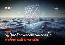ย่อยสลายได้ ญี่ปุ่นสร้างพลาสติกละลายน้ำ แก้ ปัญหาไมโครพลาสติก ปัญหาไมโครพลาสติก