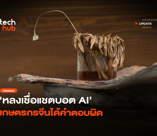 หลงเชื่อแชตบอต AI เกษตรกรจีนได้คำตอบผิด ทำพืชผล 25 ไร่ ตายเกลี้ยง หลงเชื่อแชตบอต