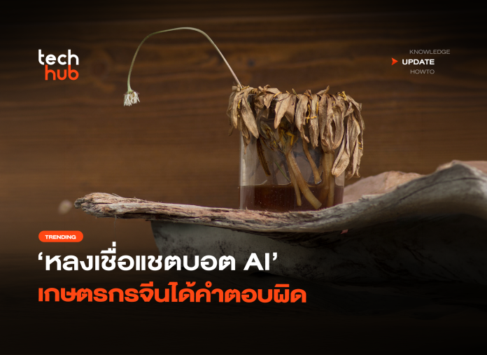 หลงเชื่อแชตบอต AI เกษตรกรจีนได้คำตอบผิด ทำพืชผล 25 ไร่ ตายเกลี้ยง-28 หลงเชื่อแชตบอต