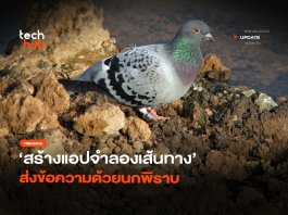 เร็วเหมือนนกจริง สร้างแอปจำลองเส้นทาง ส่งข้อความด้วยนกพิราบ