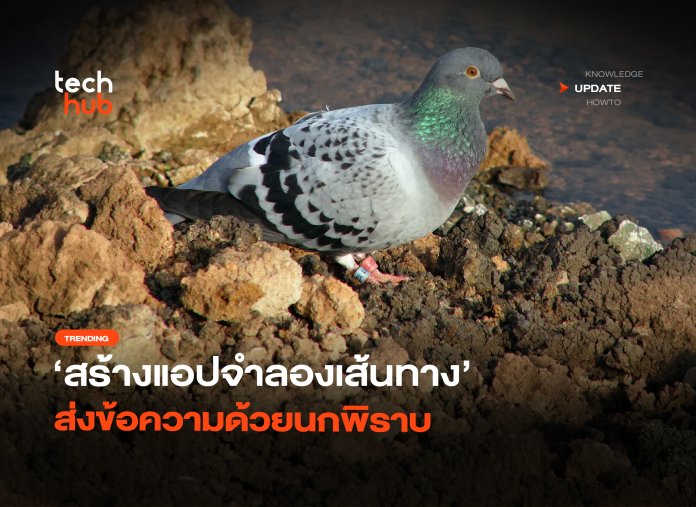 เร็วเหมือนนกจริง สร้างแอปจำลองเส้นทาง ส่งข้อความด้วยนกพิราบ-24