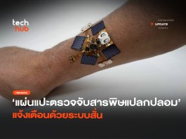 แผ่นแปะตรวจพิษ