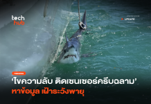 ไขความลับ ติดเซนเซอร์ครีบฉลาม หาข้อมูล เฝ้าระวังพายุ