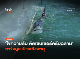 ไขความลับ ติดเซนเซอร์ครีบฉลาม หาข้อมูล เฝ้าระวังพายุ