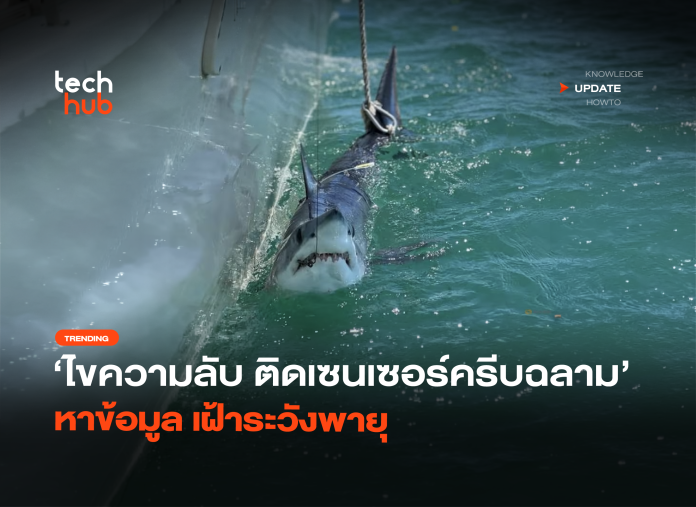 ไขความลับ ติดเซนเซอร์ครีบฉลาม หาข้อมูล เฝ้าระวังพายุ-02
