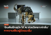 อินเดียฝึกสุนัข ใช้ AI ช่วยวิเคราะห์กลิ่น หาความเสี่ยงผู้ป่วยมะเร็ง