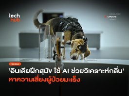 อินเดียฝึกสุนัข ใช้ AI ช่วยวิเคราะห์กลิ่น หาความเสี่ยงผู้ป่วยมะเร็ง